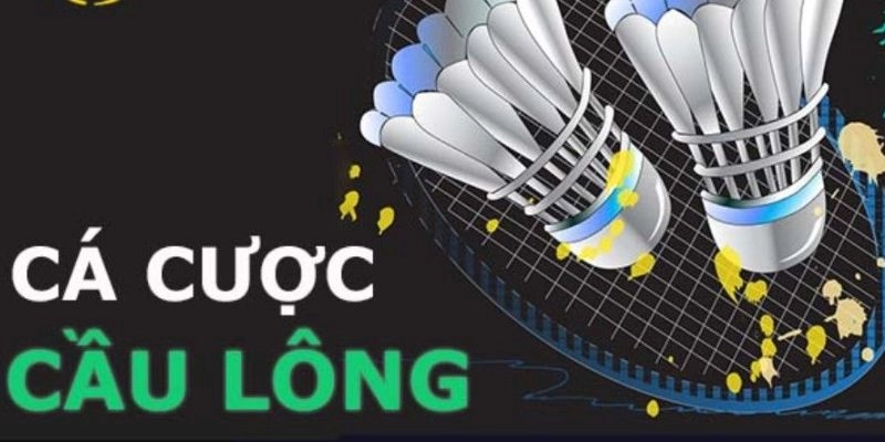 Thể thao 3 Cá cược Thể thao